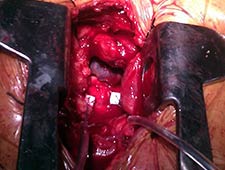 View Figure 1 larger