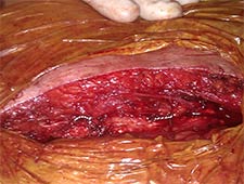 View Figure 5 larger