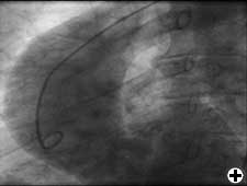 View Figure 2 larger