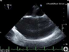 View Figure 2A larger