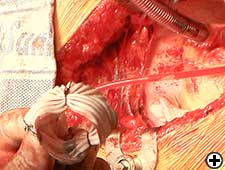 View Figure 6 larger