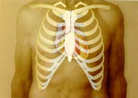 [Illustration:  Figure 1]