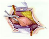 [Illustration:  Figure 3]