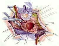 [Illustration:  Figure 6]