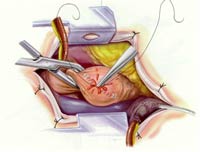 [Illustration:  Figure 7]