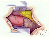 [Illustration:  Figure 8]