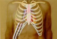 [Illustration:  Figure 9]