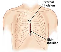 [Illustration:  Figure 1]