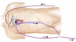 [Illustration:  Figure 2]