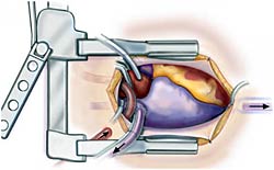 [Illustration:  Figure 3]