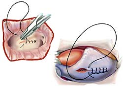 [Illustration:  Figure 8]