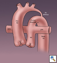 View Figure 1 larger