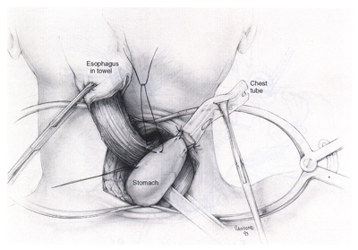 [Illustration:  Figure 8]