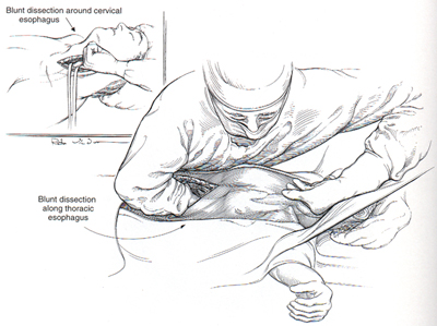 [Illustration:  Figure 5]