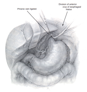 [Illustration:  Figure 4]