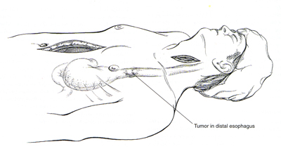 [Illustration:  Figure 1]