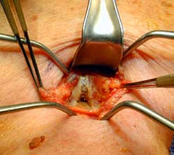 [Illustration:  Figure 2]