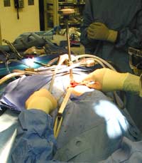 [Illustration:  Figure 6]