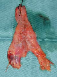 [Illustration:  Figure 9]