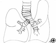 View Figure 10 larger