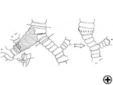 View Figure 2A larger