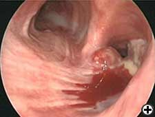 View Figure 3A larger