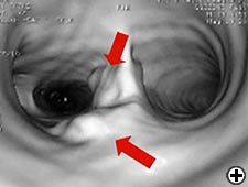 View Figure 4 larger