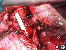 View Figure 5A larger