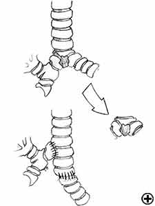 View Figure 6 larger