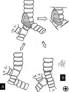 View Figure 7 larger