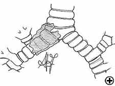 View Figure 8 larger