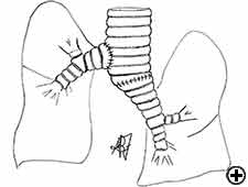 View Figure 9 larger