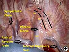 View Figure 2 larger