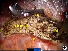 View Figure 3 larger