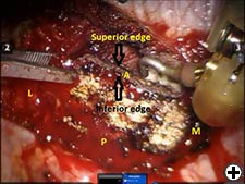View Figure 4 larger