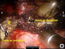 View Figure 5 larger