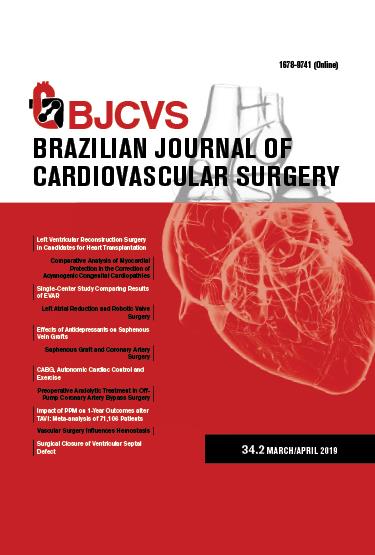 Brazilian Journal of Cardiovascular Surgery